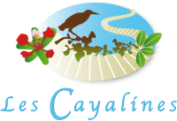 Les Cayalines
